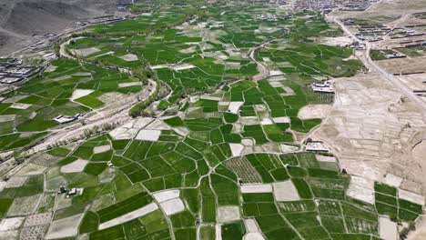 Agricultural-lands-in-the-rural-regions-of-Paktia