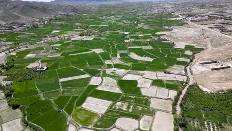 Farms-in-the-Rural-Areas-of-Paktia