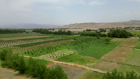 Overhead-Perspective-of-Agricultural-Fields