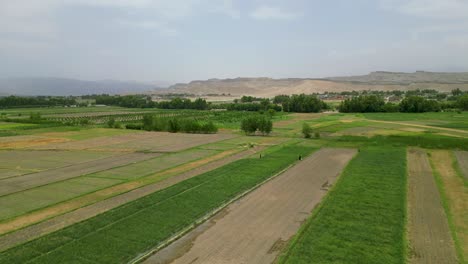 Aerial-View-of-Farmland
