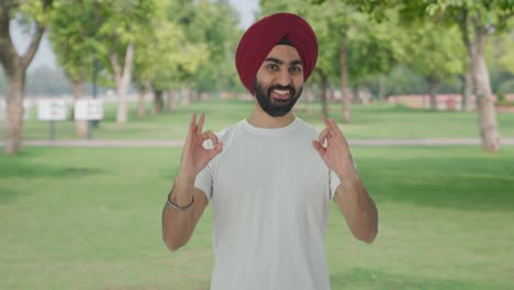 Fröhlicher-Sikh-Indianer-Zeigt-Im-Park-Ein-Okay-Schild