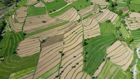 Stunning-Aerial-Views-of-Farm-Fields