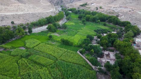 A-lush-valley-in-Hesarak-District