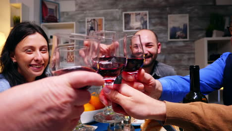 Zoom-in-shot-of-family-clinking-glasses-of-red-wine