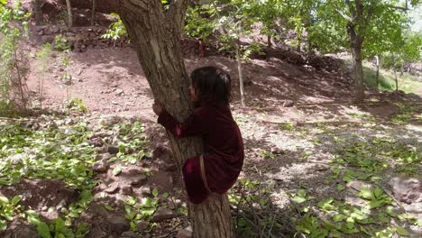 Girl-Climbing-Tree