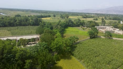 An-aerial-view-over-the-lush-green-farmland