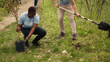 Diverse-volunteers-team-digging-holes-to-plant-trees-in-the-woods