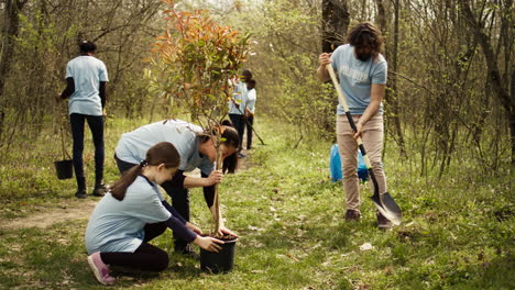 Equipo-De-Voluntarios-Que-Cultivan-El-Hábitat-Natural-En-Un-Bosque.