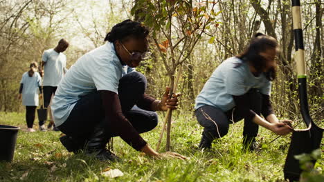 Activists-joining-forces-in-planting-trees-in-the-woods
