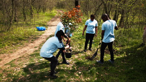 Drone-shot-of-volunteers-group-planting-trees-and-preserving-nature