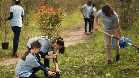 Team-of-volunteers-growing-the-natural-habitat-in-a-forest