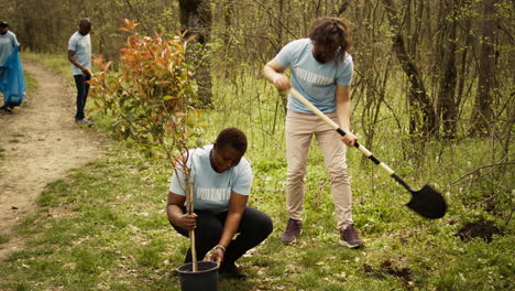 Ein-Team-Verschiedener-Freiwilliger-Gräbt-Löcher,-Um-Im-Wald-Bäume-Zu-Pflanzen