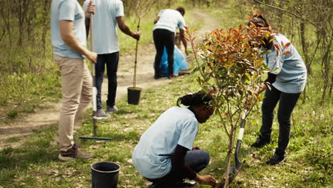 Equipo-De-Voluntarios-Plantando-árboles-En-El-Bosque-Cavando-Hoyos-En-El-Suelo.