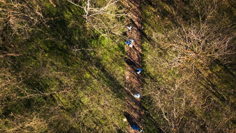 Drone-shot-of-environmental-activists-cleaning-the-forest-from-rubbish