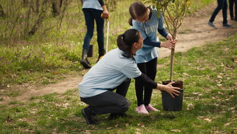 Climate-activists-planting-new-trees-in-a-woodland-ecosystem