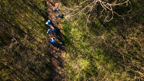 Aerial-view-of-volunteers-doing-litter-cleanup-in-a-forest-area