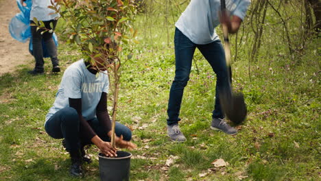 African-american-ecologic-activists-planting-seedlings-in-a-forest-environment
