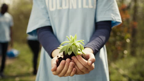 Little-kid-volunteer-holding-a-small-seedling-with-natural-soil-in-hands