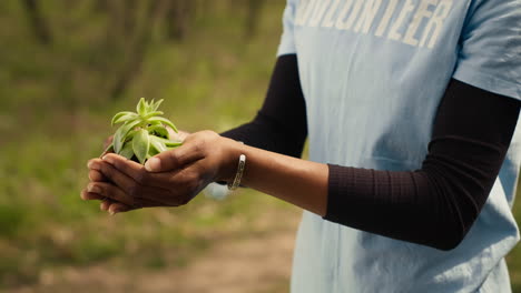 African-american-young-volunteer-holding-a-small-seedling-in-her-hands