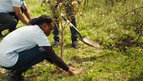 Team-of-volunteers-planting-trees-in-the-forest-by-digging-holes-in-the-ground