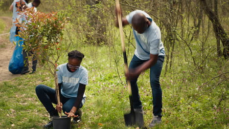 Ein-Team-Afrikanischer-Amerikanischer-Freiwilliger-Gräbt-Löcher-Und-Pflanzt-Bäume-In-Einem-Wald