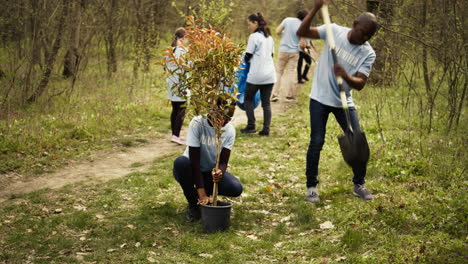 Activistas-Ecológicos-Afroamericanos-Plantando-Plántulas-En-Un-Entorno-Forestal