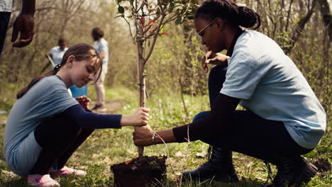 Two-diverse-girls-do-voluntary-work-by-planting-small-trees-in-the-forest