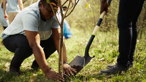 Voluntarios-Llenando-Agujeros-Después-De-Plantar-árboles-Alrededor-Del-Bosque.