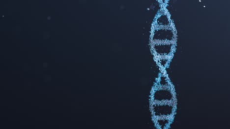 Nahtlose-Loop-Animation-Einer-Rotierenden-DNA-Doppelhelix-Aus-Reflektierenden-Blasen,-Die-Vor-Einem-Dunkelblauen-Hintergrund-Mit-Kleinen-Partikeln-Schweben.-Konzept-Der-Gentechnik,-Biotechnologie,-Crispr