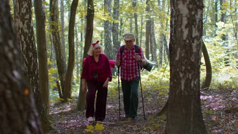Positive-senior-grandmother-grandfather-couple-is-engaged-in-Nordic-walking,-enjoying-adventures