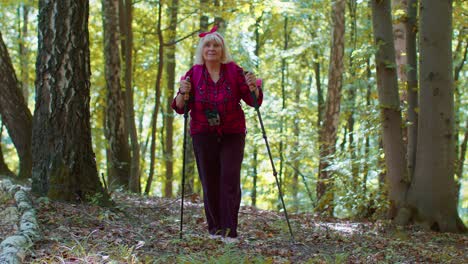 Senior-old-Caucasian-tourist-hiker-grandmother-training-Nordic-walking-with-trekking-poles-in-forest