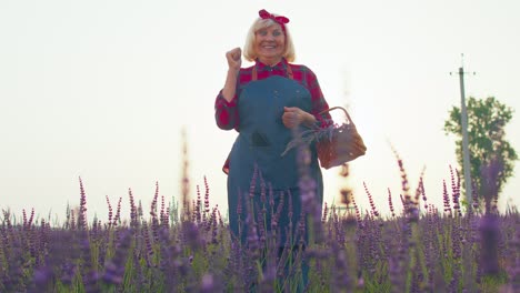 Happy-senior-farmer-grandmother-in-field-growing-purple-lavender,-raising-fists-in-gesture-I-did-it