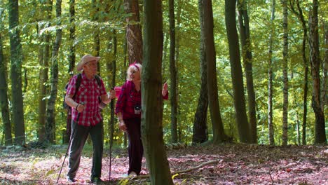 Senior-grandparents-couple-having-conversation,-training-Nordic-walking-with-trekking-poles-in-wood