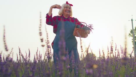 Senior-old-grandmother-farmer-gathering-lavender-flowers-on-field,-dancing,-celebrating-success-win