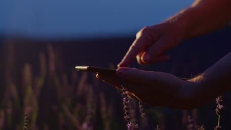 Senior-farmer-man-agronomist-hands-business-owner-touching-digital-tablet-computer-in-lavender-field