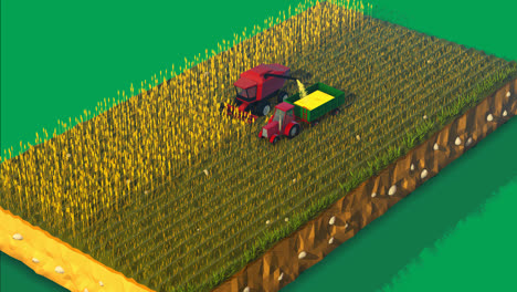 Low-poly-animation.-Sunny-summer-day-in-the-countryside.-The-field-is-full-of-growing-crops-waiting-for-harvest.-A-red-combine-harvester-is-working-on-the-plantation-gathering-crops.