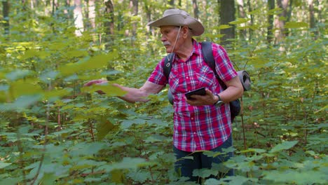 Active-senior-elderly-grandfather-adventurer-exploring-forest-trees,-plants-with-her-digital-tablet