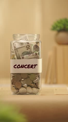 VERTICAL-VIDEO-OF-PERSON-SAVING-MONEY-FOR-CONCERT