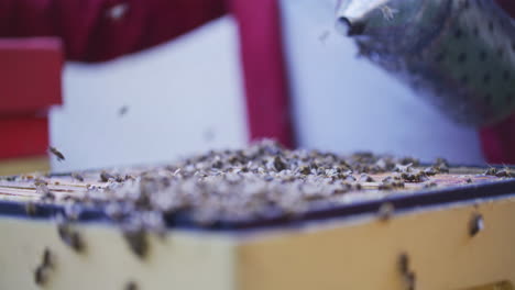 Der-Imker-Beruhigt-Bienen-Mit-Einem-Begasungsmittel