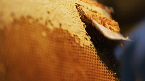 Der-Imker-Entfernt-Wachs-Und-Produziert-Honig
