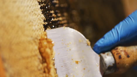 Der-Imker-Entfernt-Schonend-Bienenwachs