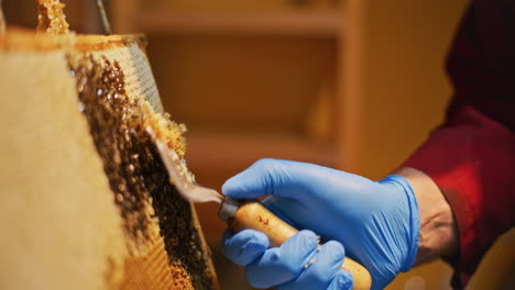 A-Beekeeper-Removes-Wax-from-Honeycomb