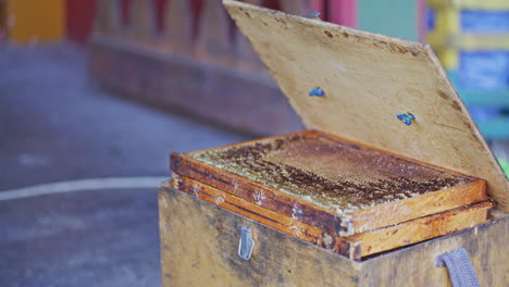 Leere-Rahmen-Für-Bienenstock-Vorbereitet