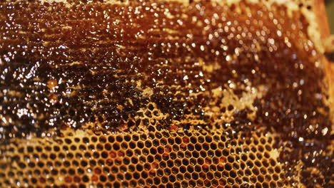 Der-Imker-Entfernt-Wachs-Und-Produziert-Honig