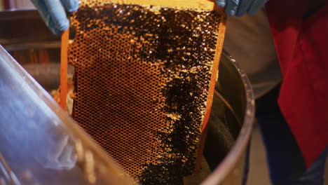 The-Beekeeper-Puts-Frames-into-Honey-Production-Machine