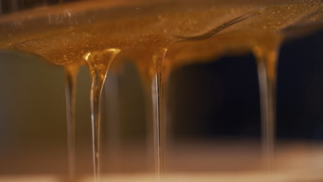 Preliminary-Straining-of-Honey
