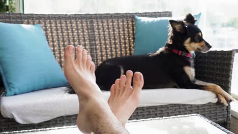 Kühlende-Beine-Einer-Person-Auf-Einem-Tisch-Mit-Einem-Hund-Im-Hintergrund