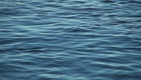 Die-Meereswellen-Und-Das-Ruhige-Wasser