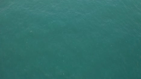 Drone-shot-of-the-beach