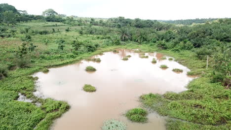 Fly-over-wetland-palm-tree-jungles-and-farm-in-Benin